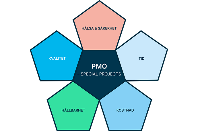 PMO-Special Projects illustration