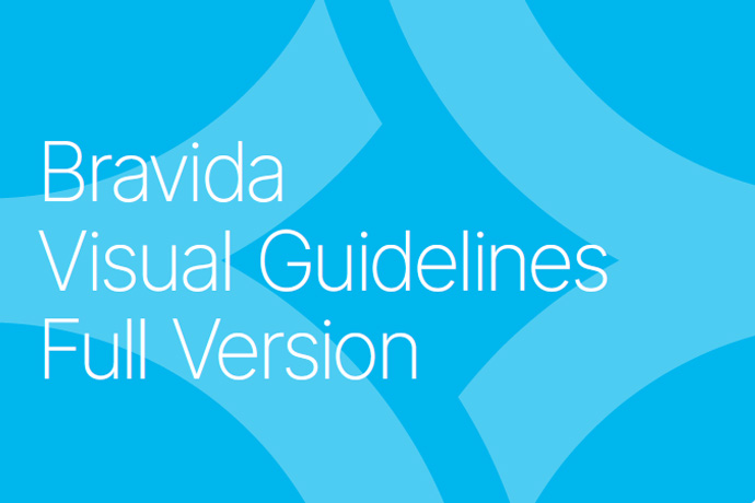 Bravida guidelines power point version